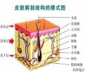 洗臉是門(mén)藝術(shù) 雖不值一提 做得好卻有養(yǎng)生作用！